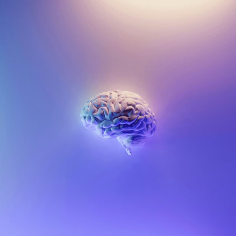 11 stvari koje utječu na sretniji mozak, a psihijatri prešućuju