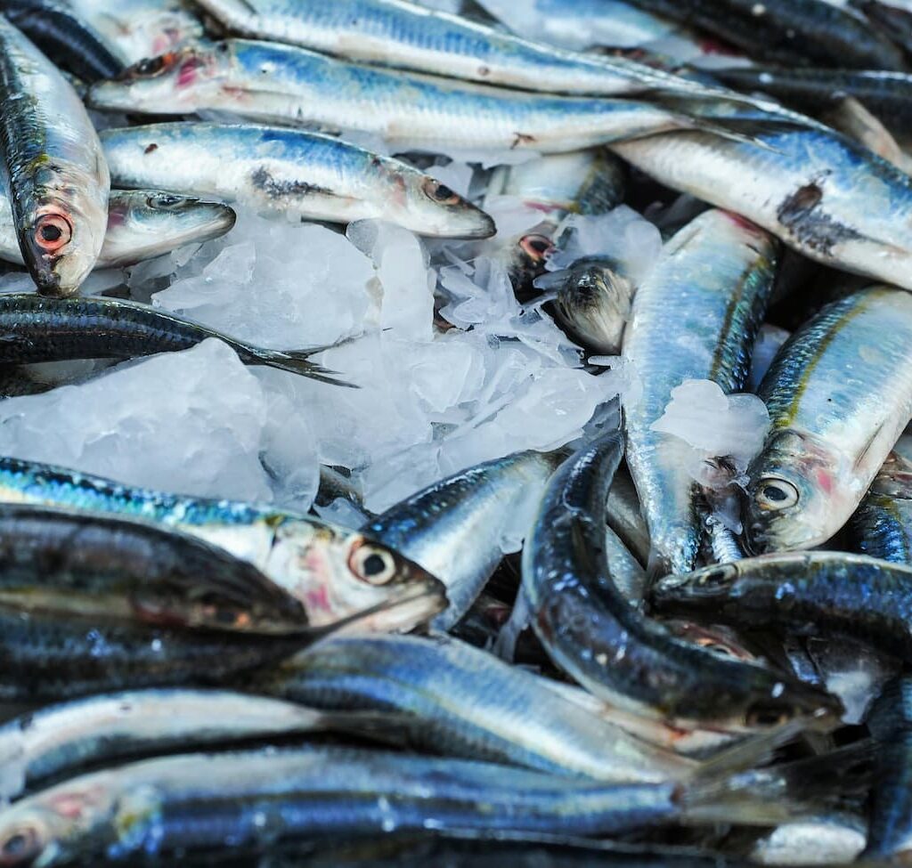 izvorni i modificirani autoimuni protokol